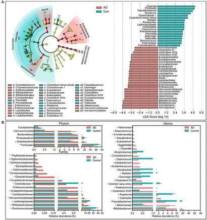 Frontiers | Structural and Functional Dysbiosis of Fecal