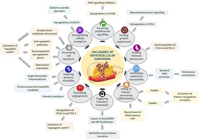 Frontiers | Construction and Application of Flocculation and