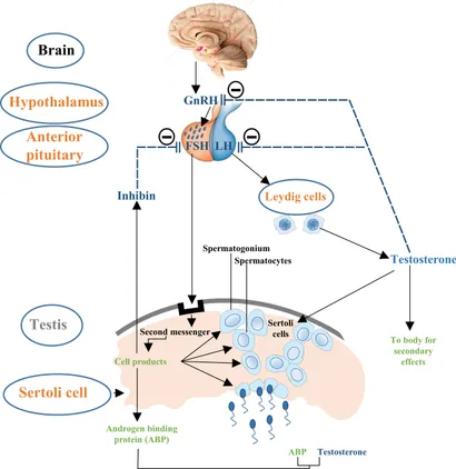 Jum bilan jinsiy aloqa videolarini onlayn tomosha qiling Qoziqlar bilan porno jinsiy aloqa