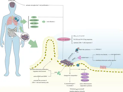 Surface Pro 9 -サファイア-メモリ16G-256G Frontiers | Role of the microbiome and its metabolites in
