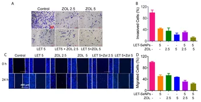 Frontiers | Functionalized Selenium Nanotherapeutics