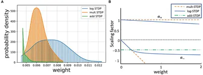 Amazon.com: Statistical Inference (Chapman & Hall/CRC