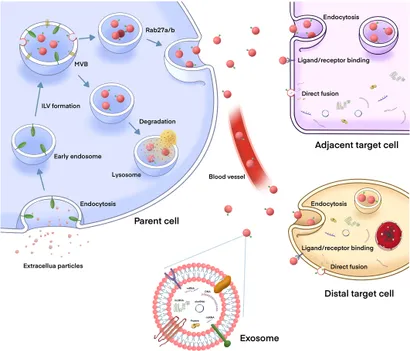 その他 Thus s-l400.jpg
