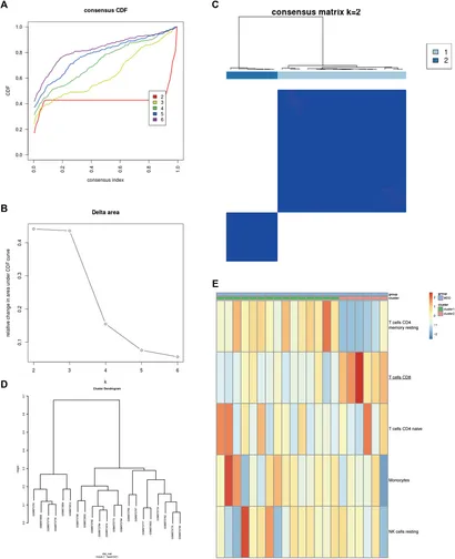 Frontiers | Identification of Potential Diagnoses Based on