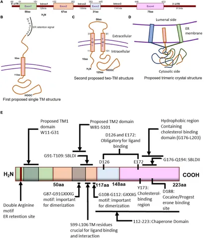 健康・医学 Receptor Based Solutions Amazon | Receptor Based Solutions; Functional Neurology