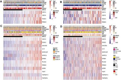 Frontiers | T-Cell Exhaustion Status Under High and Low