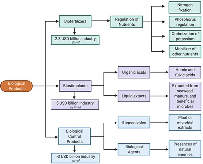 Frontiers | Bioprospecting Trichoderma: A Systematic Roadmap