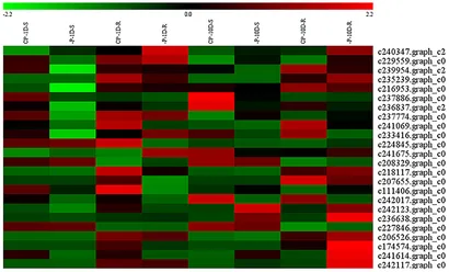 Frontiers | Transcriptome Analysis of Zygophyllum