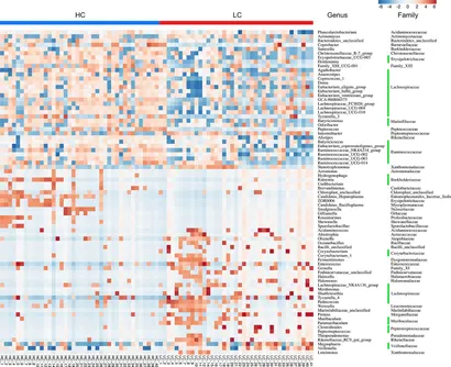 Frontiers | Specific Gut Microbiome and Serum Metabolome