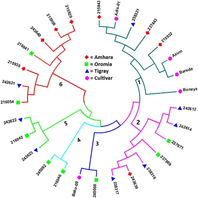THE SECOND セット Frontiers | Novel Expressed Sequence Tag-Derived and Other