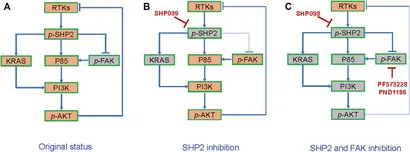 ふじ Recent Advances in Search of Bioactive Secondary Metabolites