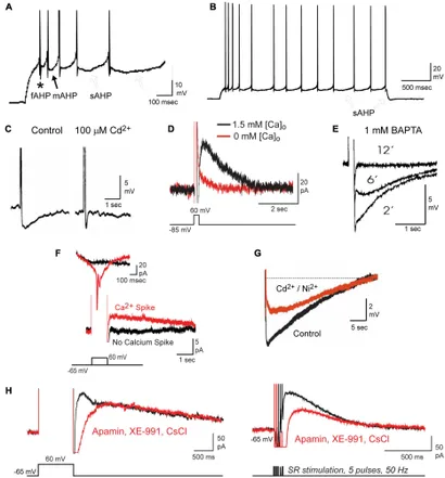 fphys-12-759707-g001.jpg