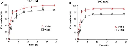 aminaseページ Imine Synthesis by Engineered d-Amino Acid Oxidase from