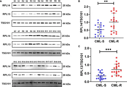 Frontiers | Quantitative Proteomic Analysis of Plasma