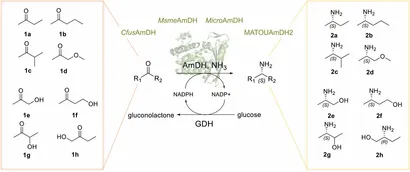 aminaseページ fctls-01-781284-g001.jpg