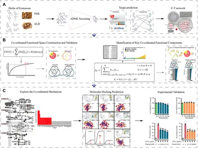 Frontiers | An Integrative Pharmacology Model for Decoding