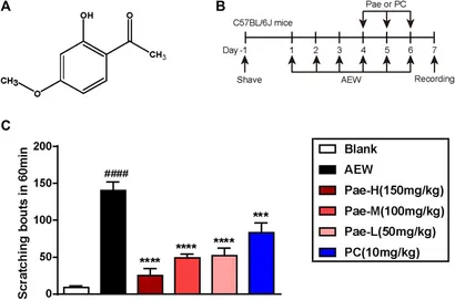 Frontiers | Paeonol Ameliorates Chronic Itch and Spinal