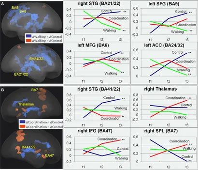 Frontiers | Cardiovascular and Coordination Training