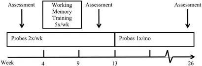 週刊誌 Working Memory and Academic Learning Amazon.com: Working Memory and Academic Learning: Assessment