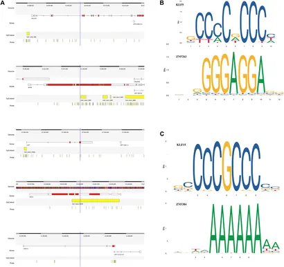 Rs 専用ページ ACGSI - Allen County Marriages