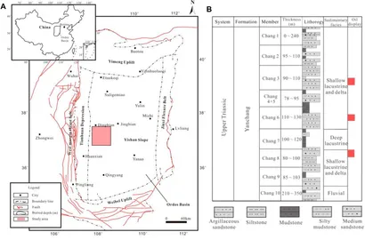Frontiers | Development Characteristics and Finite Element