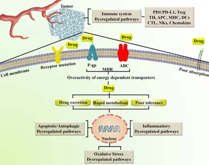 Frontiers | Modulation of TLR/NF-κB/NLRP Signaling by