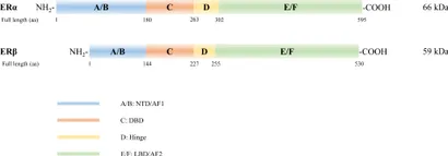 その他 D Density functional theory study of dissociative adsorption