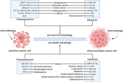 Frontiers | The MicroRNA-Based Strategies to Combat Cancer