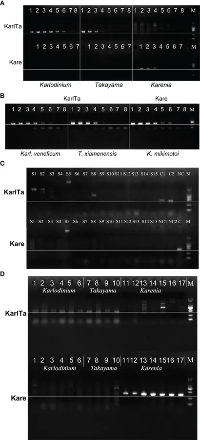 Frontiers | Development of Specific DNA Barcodes for the Frontiers | Development of Specific DNA Barcodes for the
