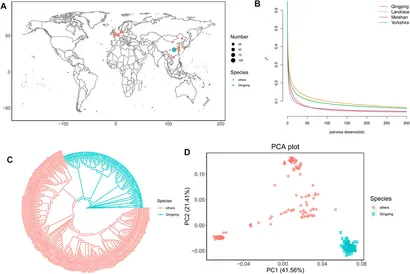 Frontiers | Identifying Candidate Genes for Short Gestation