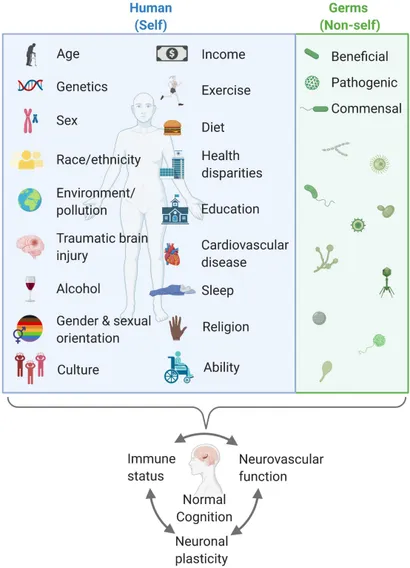 Manual of basic neuropathology 神経病理学 Zinc and Central Nervous System Disorders