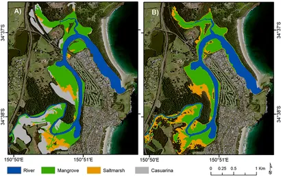 Frontiers | An Eco-Morphodynamic Modelling Approach to