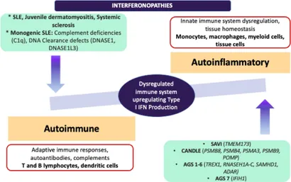 Systemic Autoinflammatory Diseases - Rheumatic Disease Clinics