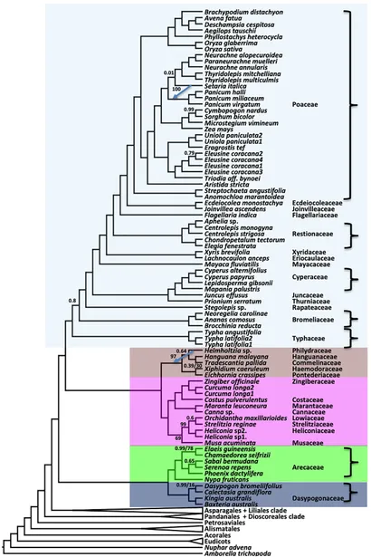 Frontiers | Phylogenomic resolution of order- and family