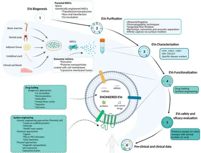 fbioe-10-882545-g001.jpg