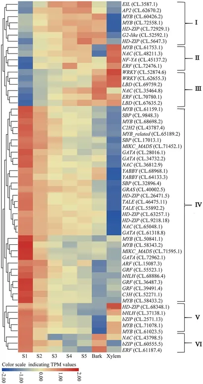 Frontiers | Full-Length Transcriptome Sequencing and