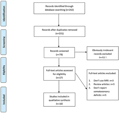 Frontiers | Somatosensory Deficits After Stroke: Insights