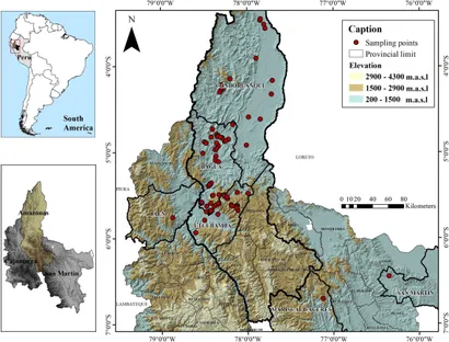 The Genetic Diversity of Cacao and Its… Frontiers | Genetic diversity and population structure of