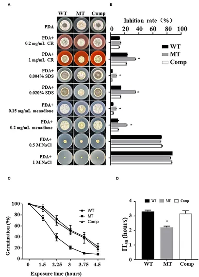 Frontiers | The Deubiquitinating Enzyme MrUbp14 Is Involved
