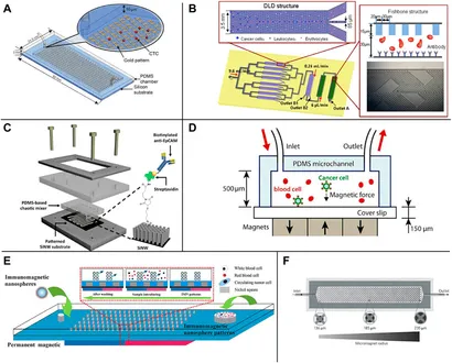 sサイズ Digital manufacturing of personalized magnesium implants