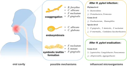 Fisting porno video onlayn