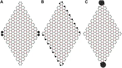 fphy-10-915764-g003.jpg