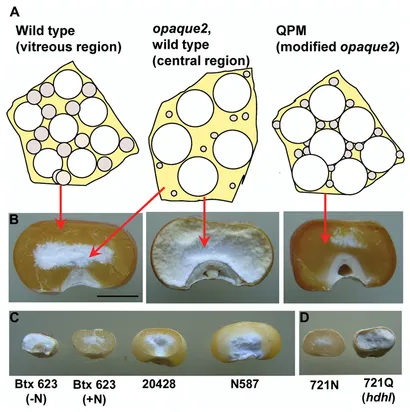 efs28194-fig-0026-m.jpg