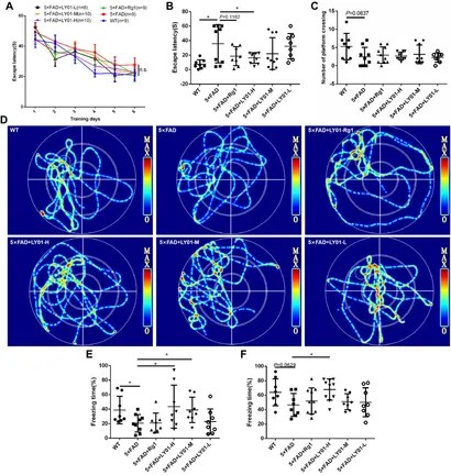 LytTR Regulatory Systems: A potential new class of