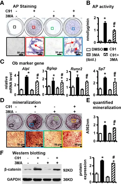 Frontiers | A Highly Selective GSK-3β Inhibitor CHIR99021