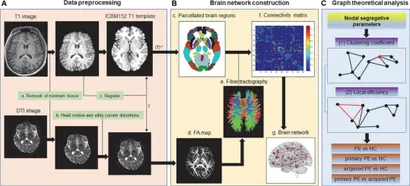 Frontiers | Potential biomarkers for distinguishing primary