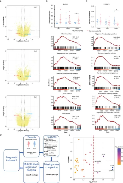 Frontiers | Immunological risk factors for sepsis-associated