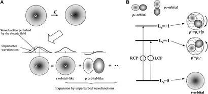 Frontiers | Fundamentals of Magneto-Optical Spectroscopy Frontiers | Fundamentals of Magneto-Optical Spectroscopy