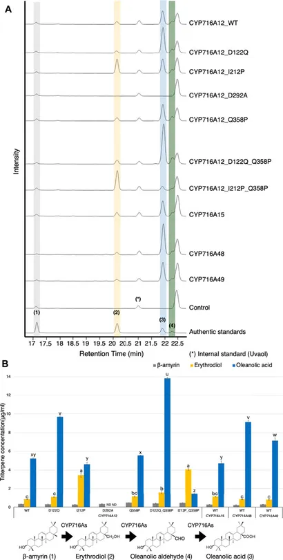 Frontiers | Identification of key amino acid residues toward