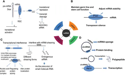 プレステーション4 MT1-MMP Expression Levels and Catalytic Functions Dictate